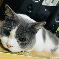 ���������ס��������������