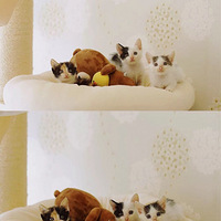 �ȿ޵���������������~