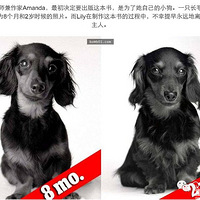 һ���ˣ�20���ʱ�䣬��������С���ǵ�һ����