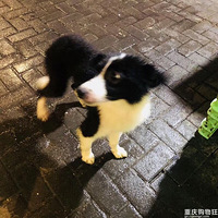 ������Ȯһ������ʧ������һ��