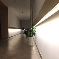 ģһѡ