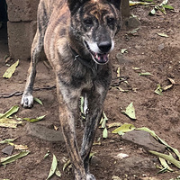 ����4������������ϲ����һ����