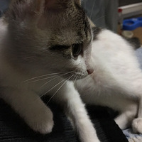 �����������滨�ܵ�������