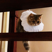 Ը��ص����ǲ���ʹ�� | ����