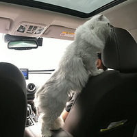 ��è��è��è���ˣ��Ҽҵĺ���