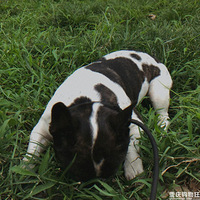 ��֪��������Ĺ���������