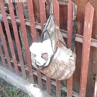 ��Ӥװ����ҽ�ͷΧ�� ��๤��㵱�������˰��ﻹ����ѧŮУ��
