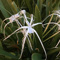 �²��ⶼ��Щʲô��