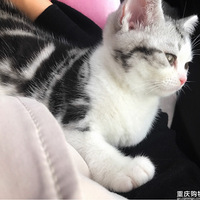 ���������ס�+���д��۳����ɣ�Ѱ�������˾���