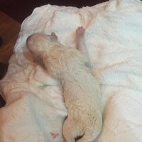 ���������ס�+˭�������������ֵ�����������