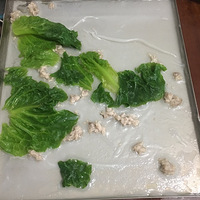 �����Լ����ĳ�����ͣ�