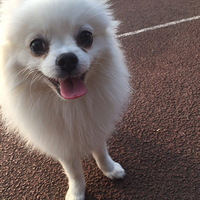 ����˭�ҵ�С�ɰ�ѽ������