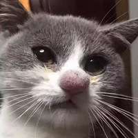 ���۷�ս��ʧ�ܵ��ȳ��ǣ�̫�ɰ���