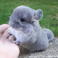 ��̳������������𣿿챻��Բ�����Ķ����Ȼ��ˣ�