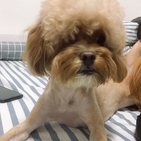 �ؽ�Ѱ�������������Լ�����Ҫ�������ƣ���������