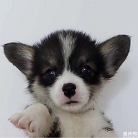 ���Ǹ����ҵĺ�����