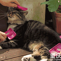 ����������Щϲ����ˢ�ĳ����ǣ�����ò�Ҫ��Ҫ��~