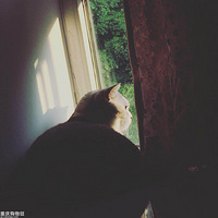 ˵˵���è������ᾧ�����ƹ���