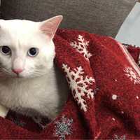 ��������λ����