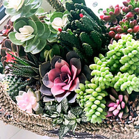 �ÿɰ�������