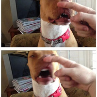 �����˴������˲��