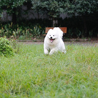 ���ܵ�����