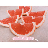 ����һ��ص������ɳ��