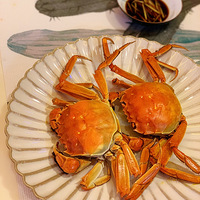 ���ơ�����  ������