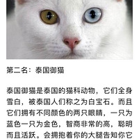 ��è����