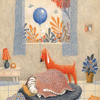 ���������졣