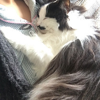 �������ȳ衿�ճ���jiojio����