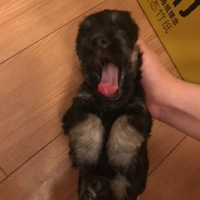 �������ĵ�һ��������к�