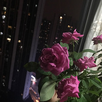 �¼����쿪ʼ����