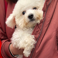 �������ȳ衿+ླྀ��е�Ƥ