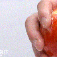 һλ�����ܽ��ʳ����ϴ��ȫ��ÿ����ʵ�õ��������ղغã�