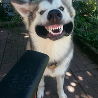 ����������������˵�һ�󰮺�֮һ