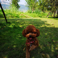 ��̫������