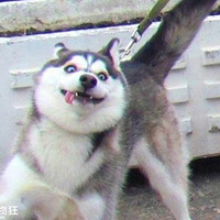 ����ҧ����������һ������ҧ���Σ��Ҷ�Ҫ���ˡ���