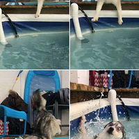 ��ɵ���������ˣ�