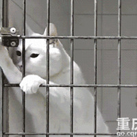 èѧ���˿��ź�ֱ�Ӱ��˱Ʒ��ˣ�