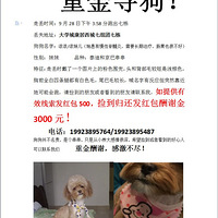 �ؽ�Ѱ�����м��������񵽹����黹�����л3000