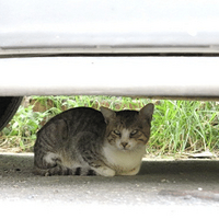 �������䣬��Щ����С������������ĳ���ȡů������ǰ��ע��