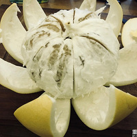 ����Ƥ���������̲ˣ�û�Թ���