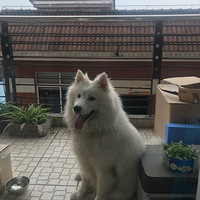 Ϊ��ĦѰ����