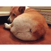 ���п���