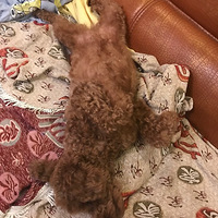 �Ҽҹ�����һ���˯��