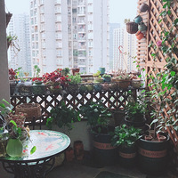 ��ƽ���Ļ�԰Ҳ�������ա���