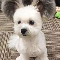 �ɰ��Ĺ������������Ĵ���䣬̫����