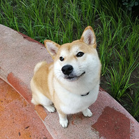 �������ȳ衿�Ҽ��в񳤴��ˡ�