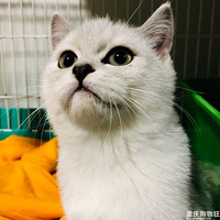 �������ȳ衿����ȡ�����ˣ���������